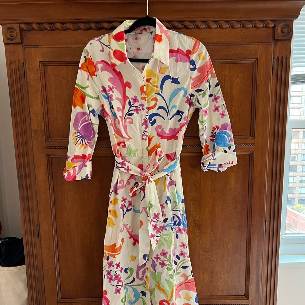 NWT Zara Never worn button down dress